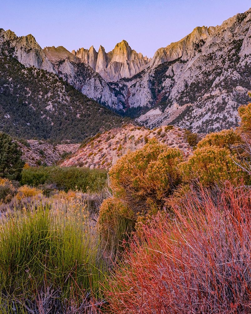 Mount Whitney-Sequoia National Park Inyo-National Forest-California art print by Tim Fitzharris for $57.95 CAD