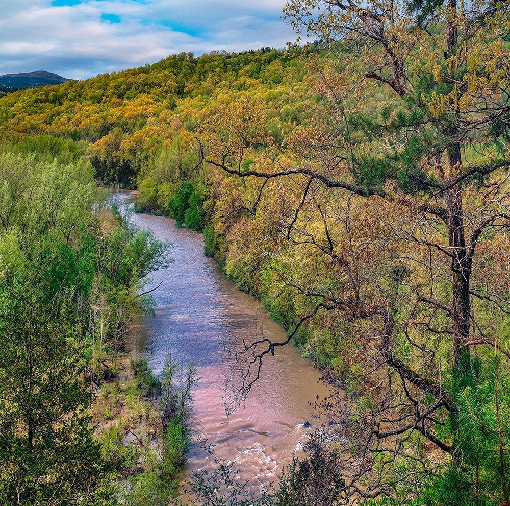 Mulberry National Wild and Scenic River art print by Tim Fitzharris for $57.95 CAD