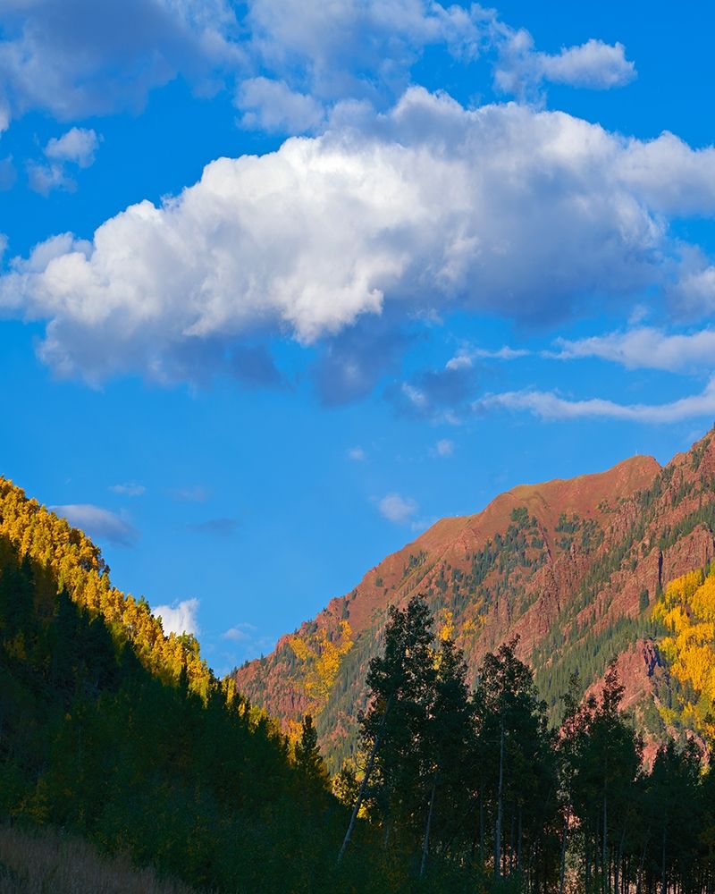 White River National Forest art print by Tim Fitzharris for $57.95 CAD