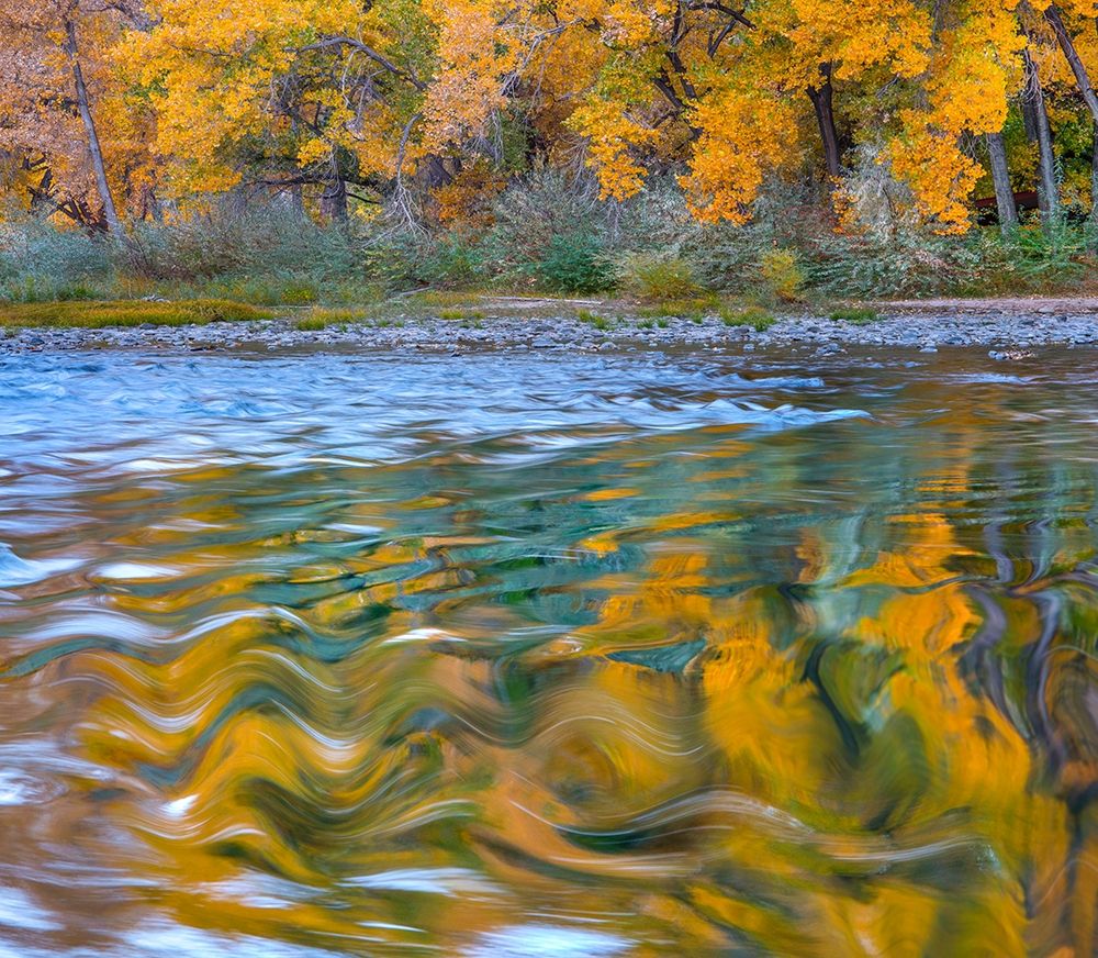 Ripples in the Rio Grande art print by Tim Fitzharris for $57.95 CAD