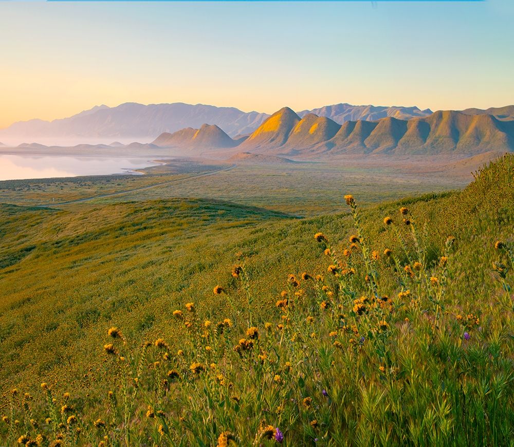 Sunrise at Soda Lake art print by Tim Fitzharris for $57.95 CAD