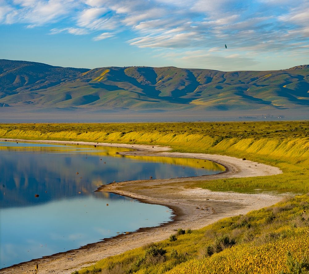 Soda Lake-Carrizo Plain National Monument art print by Tim Fitzharris for $57.95 CAD