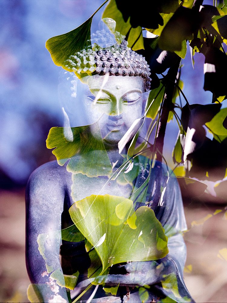 Antique Buddha Statue Reflection II art print by Artographie for $57.95 CAD