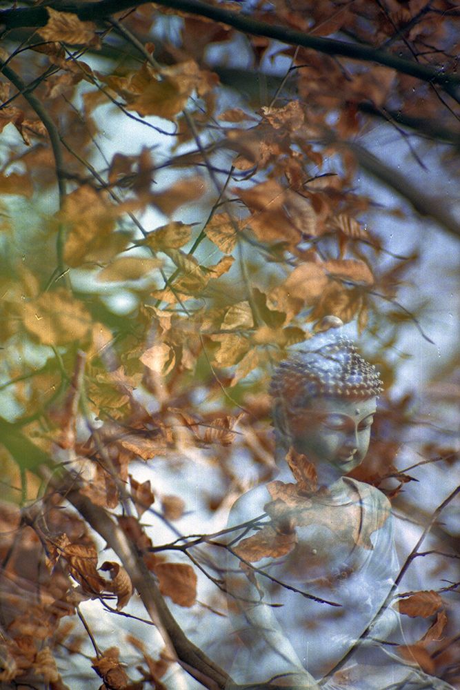 Antique Buddha Statue Reflection III art print by Artographie for $57.95 CAD