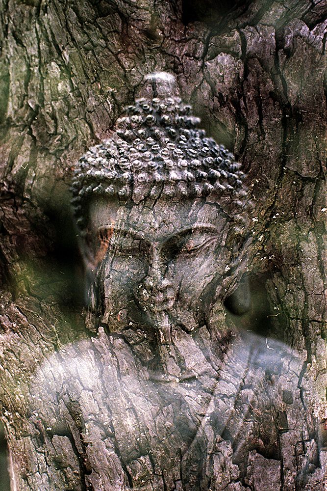 Antique Buddha Statue Reflection IV art print by Artographie for $57.95 CAD