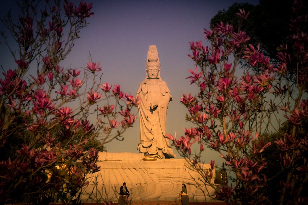 Bacalhoa Buddha Eden art print by Artographie for $57.95 CAD