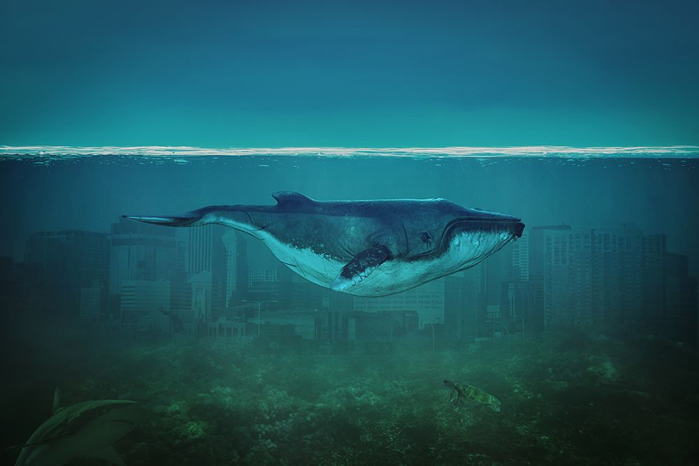 Blue Whale painting art print by Artographie for $57.95 CAD