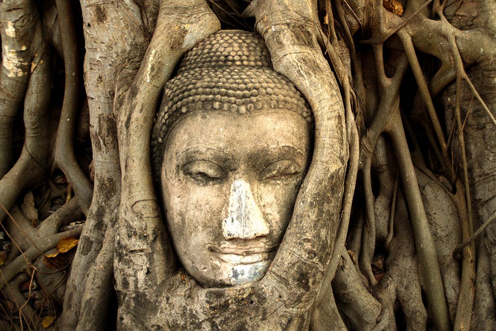 Buddha at Wat Mahathat in Ayutthaya, Thailand art print by Artographie for $57.95 CAD