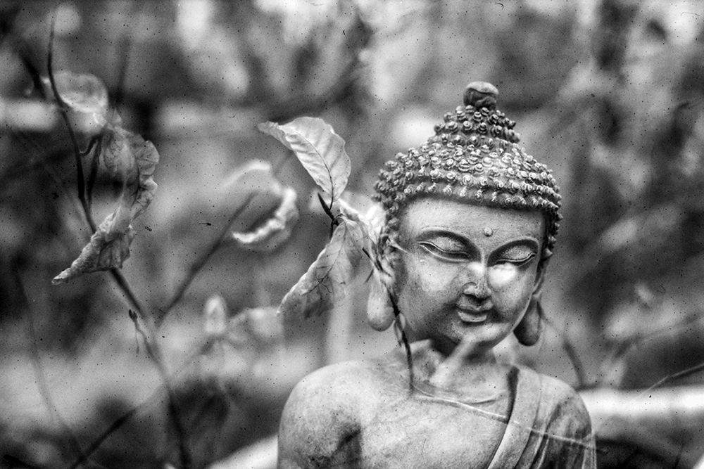 Buddha Statue in Black and White with Leaves II art print by Artographie for $57.95 CAD