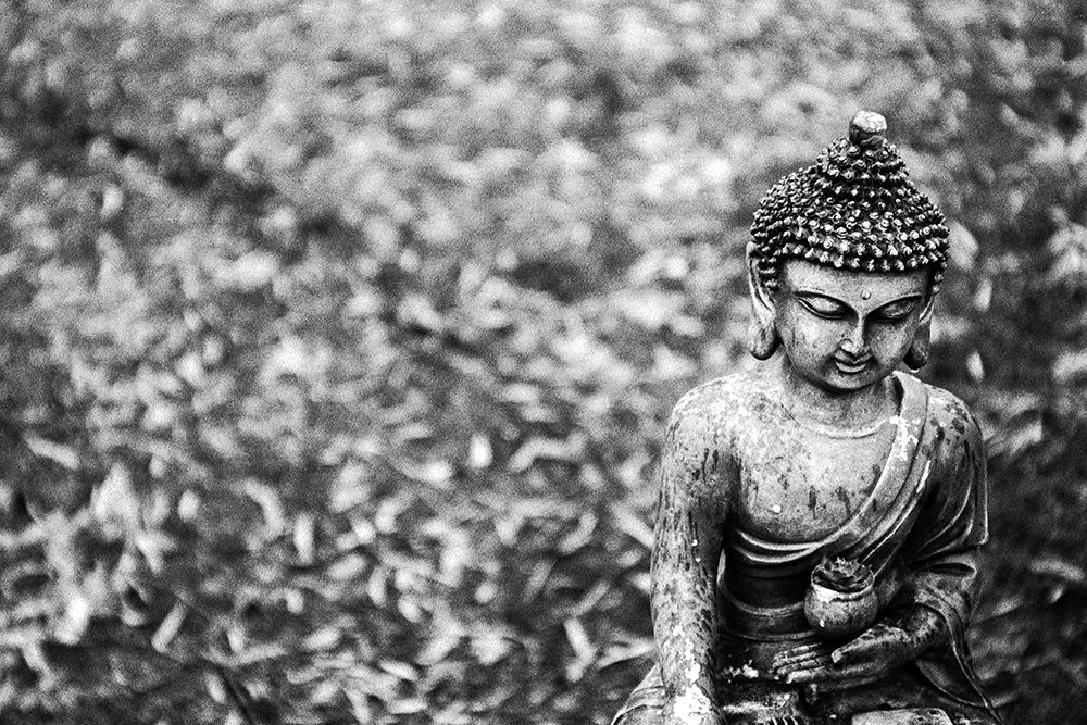 Buddha Statue in Black and White with Succulent art print by Artographie for $57.95 CAD