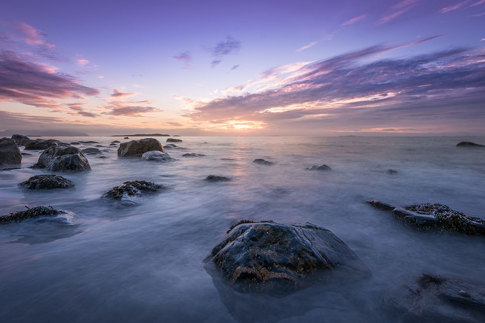 Calm Morning art print by Artographie for $57.95 CAD