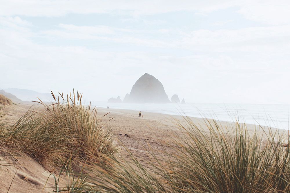 Cannon Beach, Oregon, United States art print by Artographie for $57.95 CAD