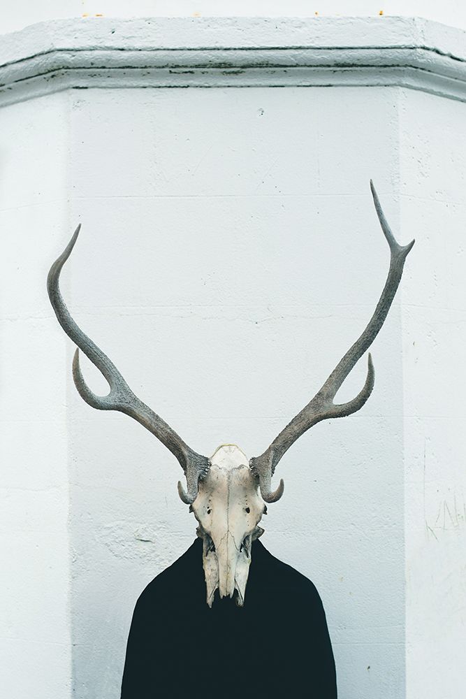 Deer Skull art print by Artographie for $57.95 CAD