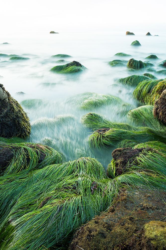 El Pescador Beach art print by Artographie for $57.95 CAD