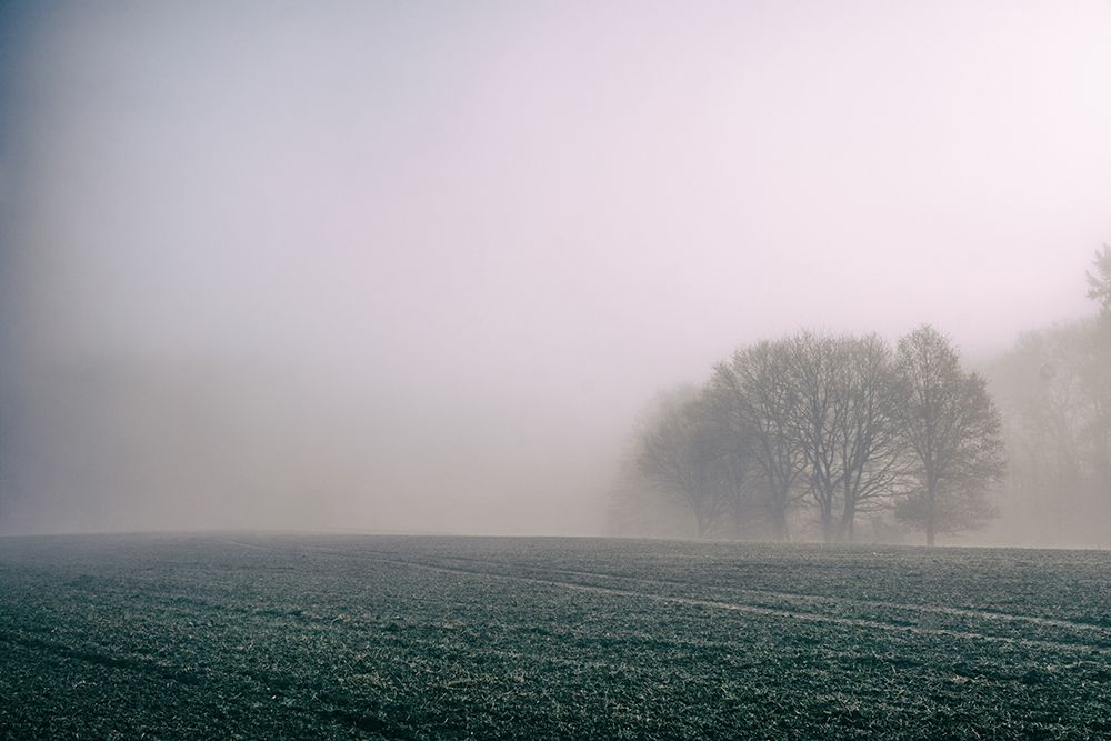 Foggy Morning art print by Preston Keres for $57.95 CAD