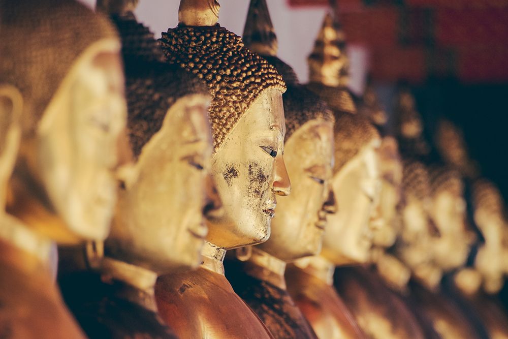 Golden Statues of Buddha in a Temple in Bangkok art print by Artographie for $57.95 CAD