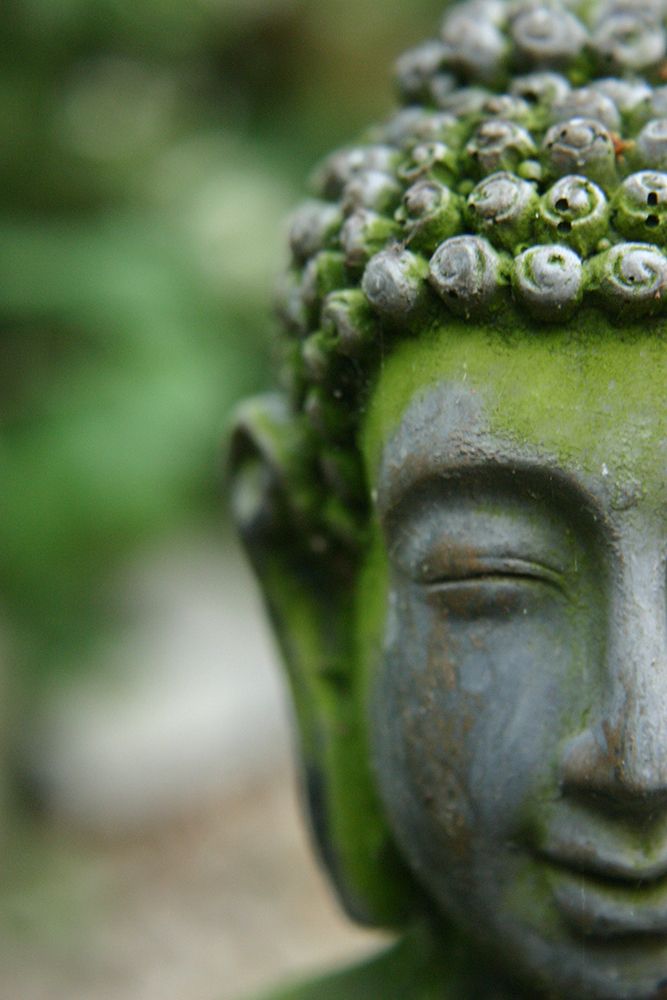 Green Buddha Statue Head I art print by Artographie for $57.95 CAD