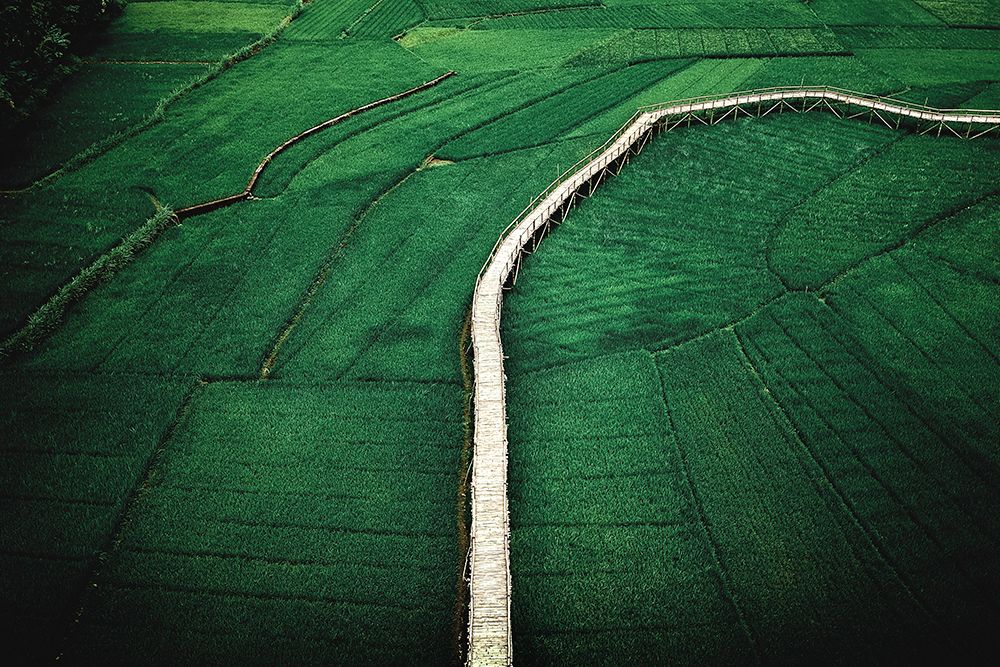 Green Rice fields in Mangunan Yogyakarta, Indonesia art print by Artographie for $57.95 CAD