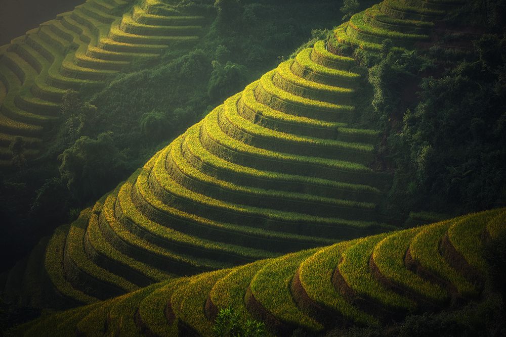 Green Terraces art print by Artographie for $57.95 CAD
