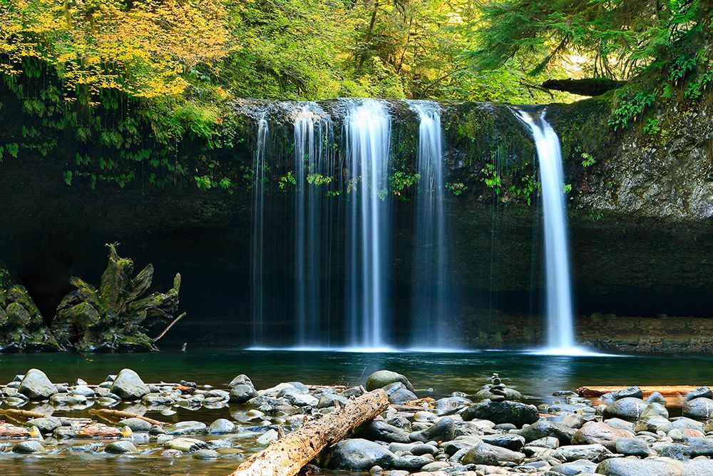 Hidden Falls art print by Artographie for $57.95 CAD