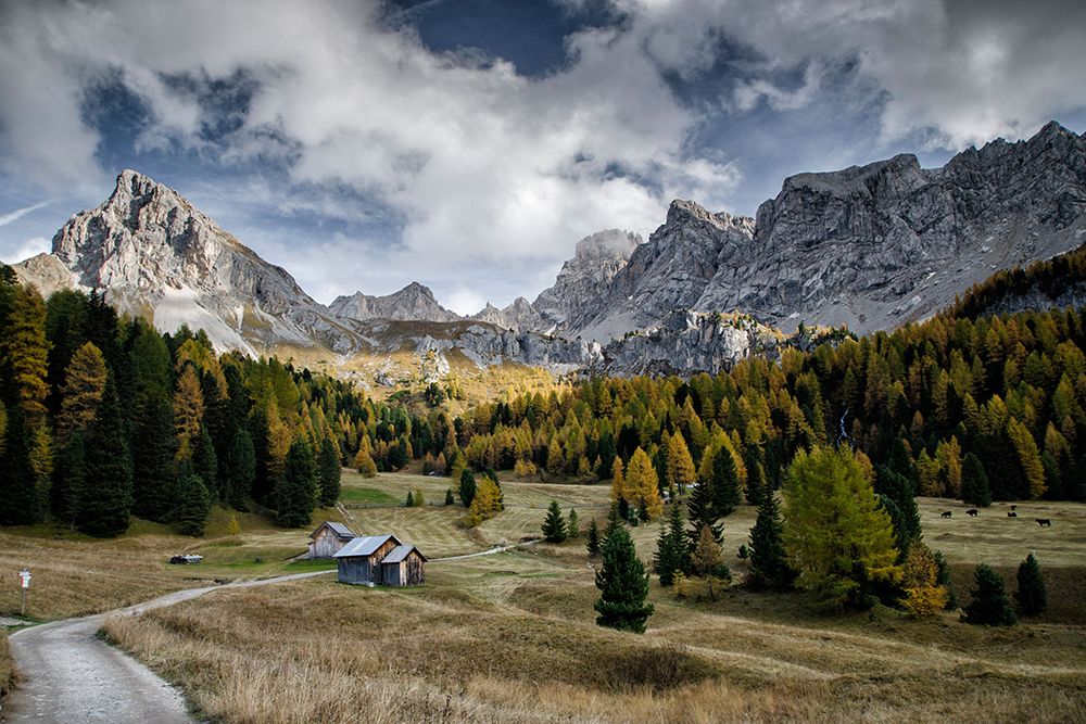 In the Mountains art print by Artographie for $57.95 CAD