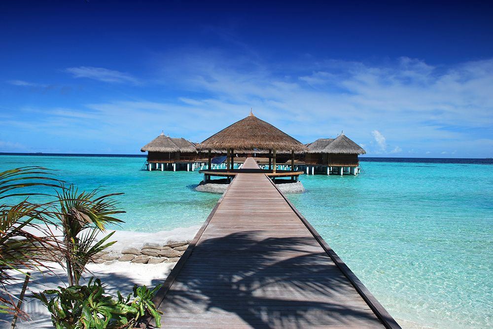 Maldives Island art print by Artographie for $57.95 CAD