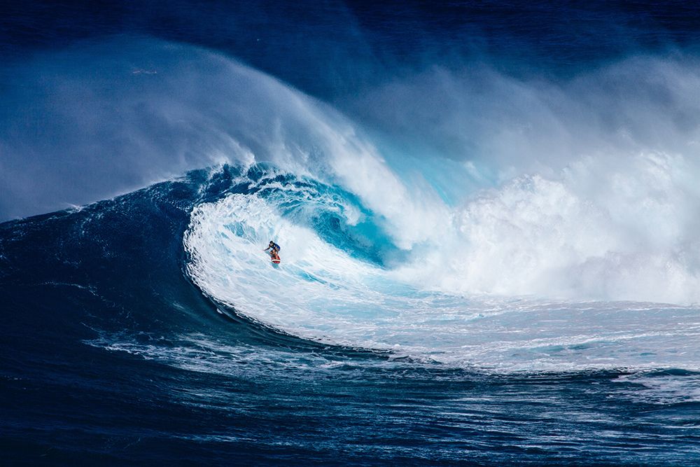 Riding the Surf I art print by Artographie for $57.95 CAD