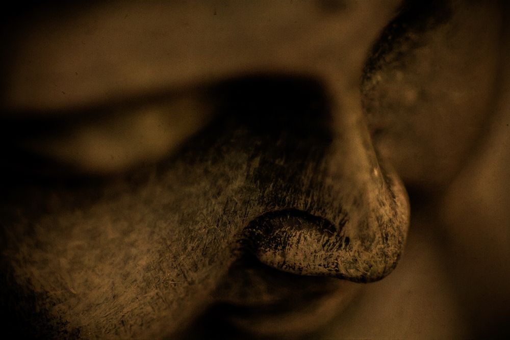 Sepia Buddha Statue Closeup art print by Artographie for $57.95 CAD