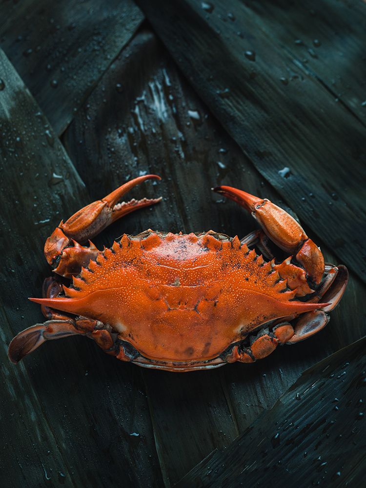 Soft Shell Crab art print by Artographie for $57.95 CAD