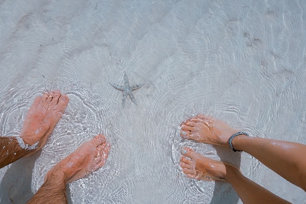Starfish under Water art print by Artographie for $57.95 CAD