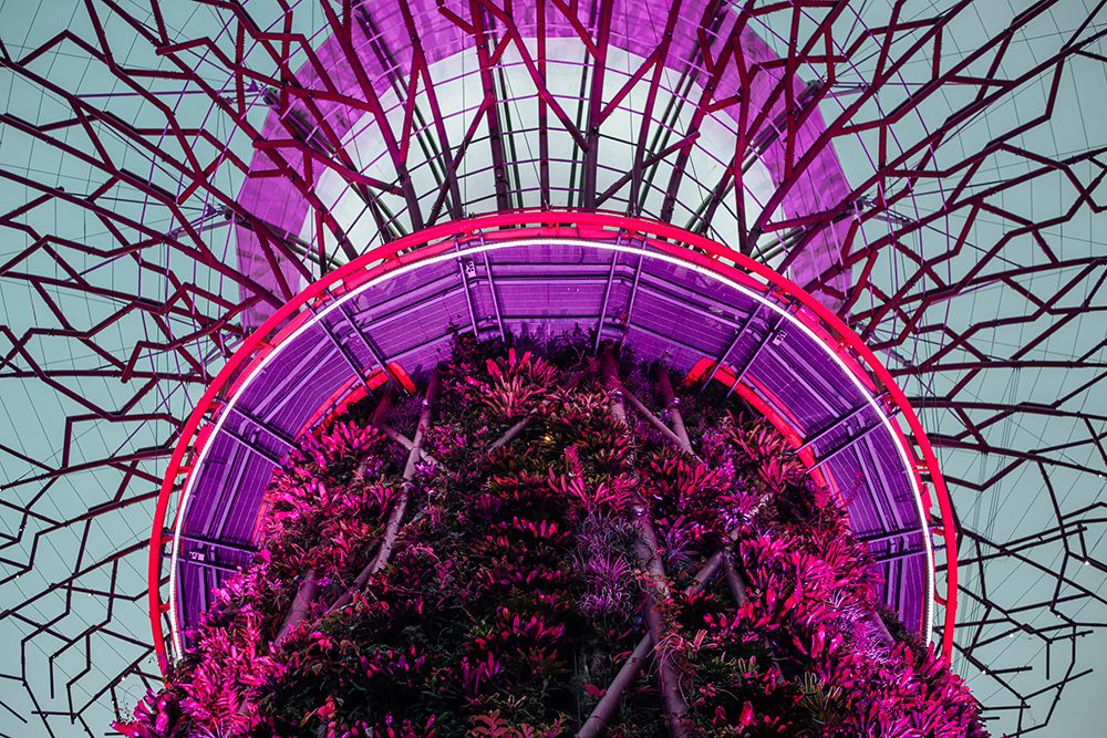 Supertree Grove, Singapore art print by Artographie for $57.95 CAD