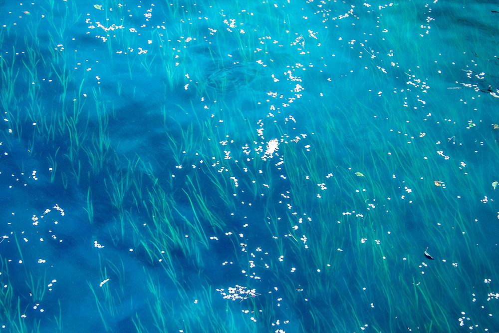 The Color of Water III art print by Artographie for $57.95 CAD