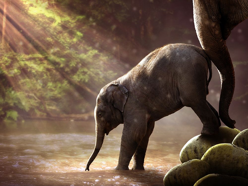 Time for a Bath art print by Artographie for $57.95 CAD