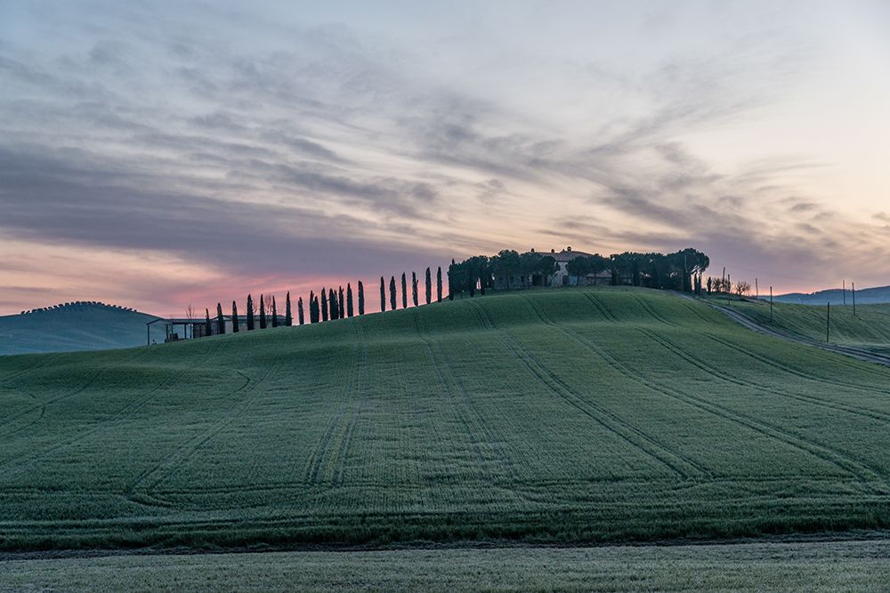 Tuscan Field art print by Artographie for $57.95 CAD