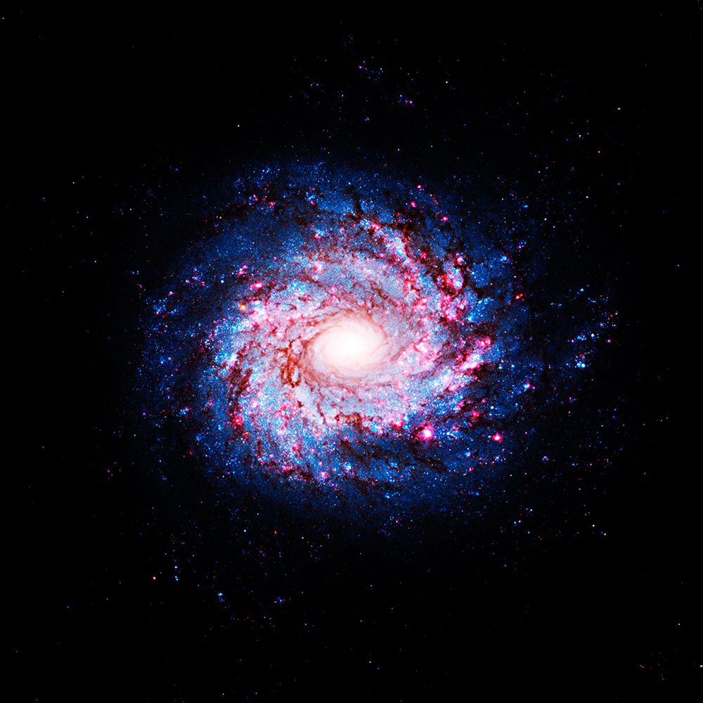 Hubble sees Pinwheel of Star Birth art print by NASA for $57.95 CAD