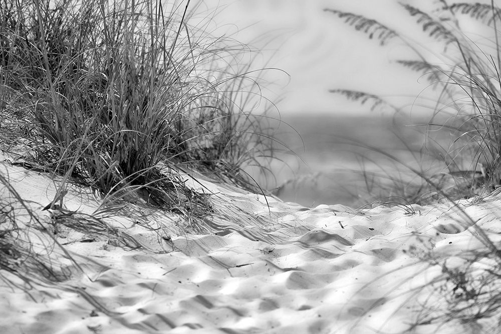 Beach Path art print by Artographie for $57.95 CAD