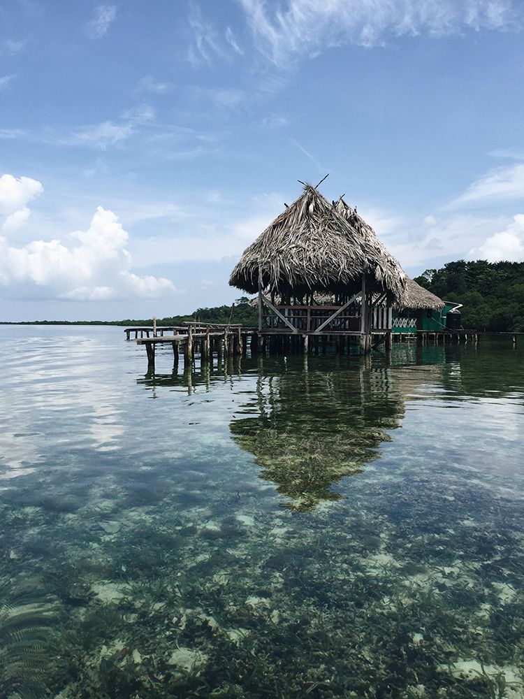 Bocas del Toro, Changuinola, Panama art print by Artographie for $57.95 CAD