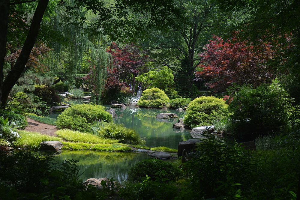 Botanical Gardens art print by Artographie for $57.95 CAD