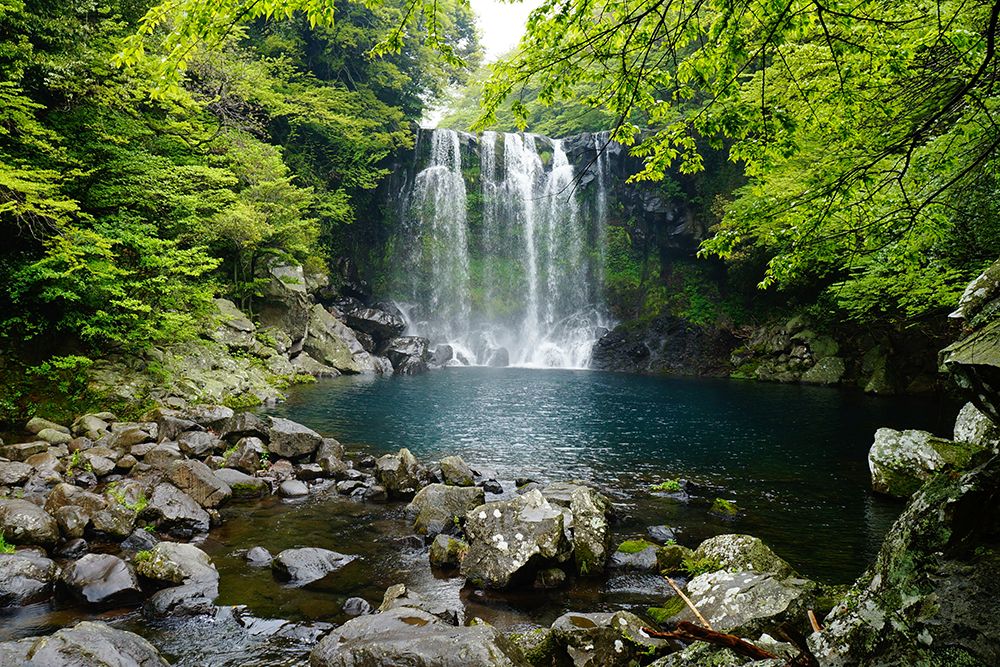 Cheonjiyeon Waterfall in the Jeju island, Korea art print by Artographie for $57.95 CAD