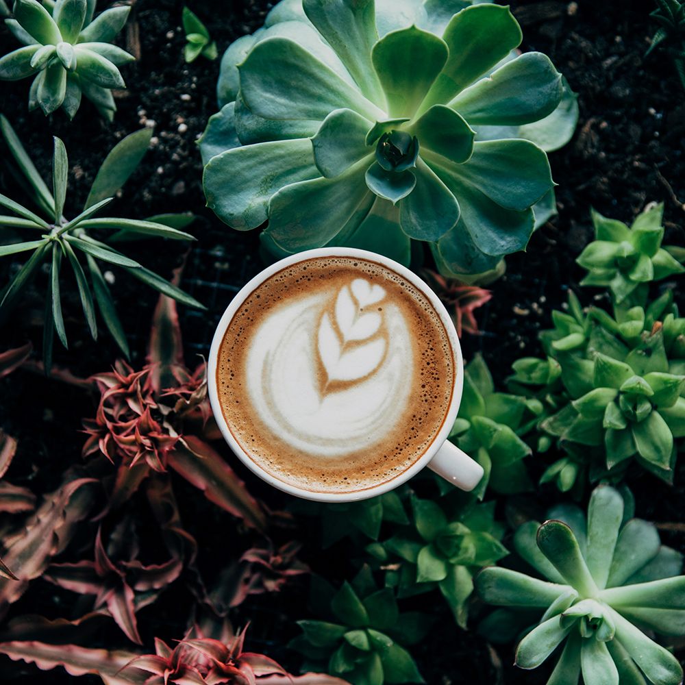 Coffee in Nature art print by Artographie for $57.95 CAD