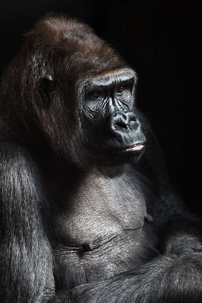 Deep in Thought art print by Artographie for $57.95 CAD