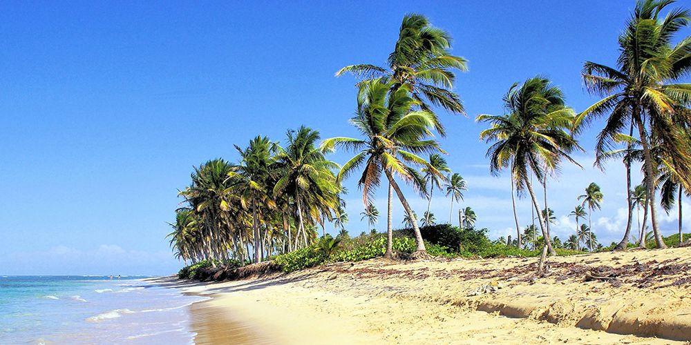 Dominican Republic Beach Bavaro Tropics art print by Artographie for $57.95 CAD