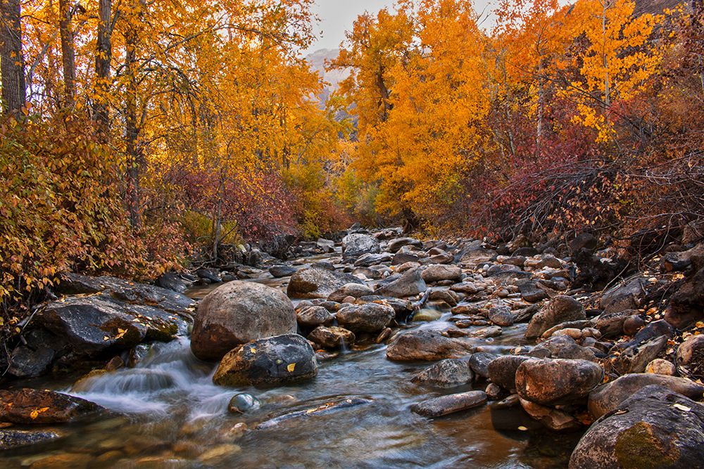 Ruby Mountains, Humboldt-Toiyabe National Forest art print by Artographie for $57.95 CAD