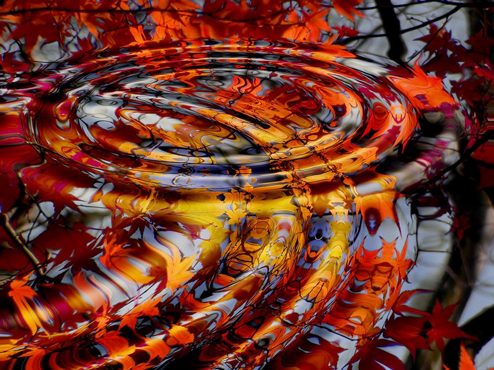 Fall Reflections art print by Artographie for $57.95 CAD