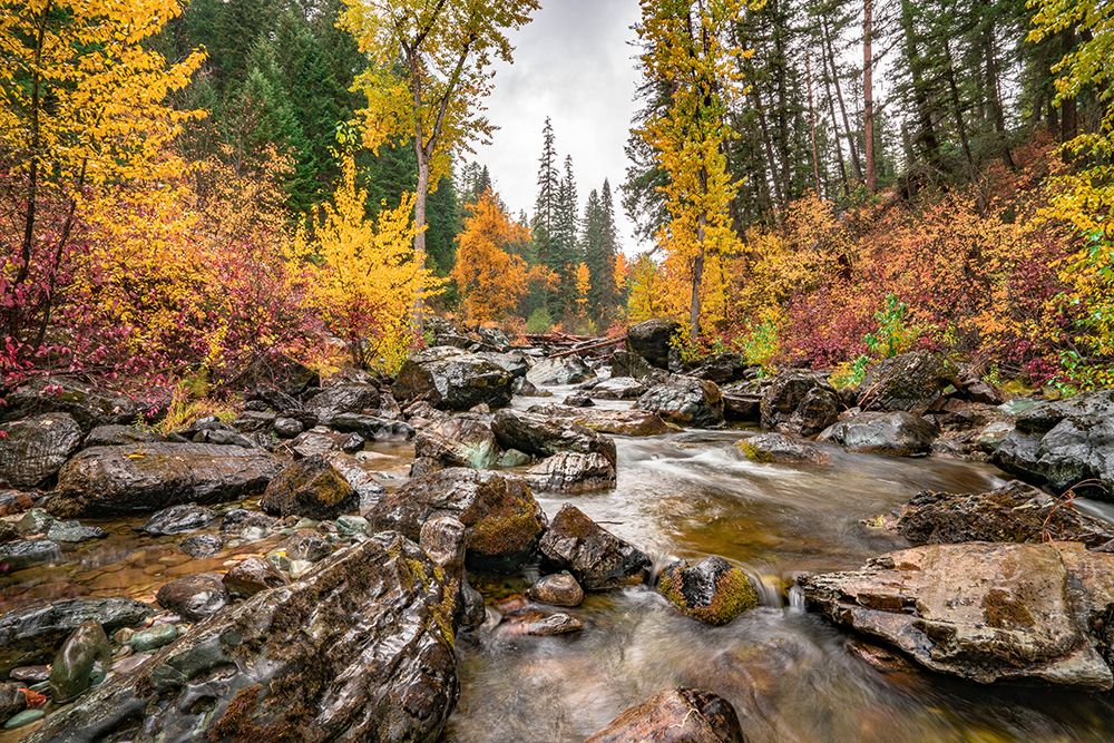 Flathead National Forest in Montana art print by Artographie for $57.95 CAD