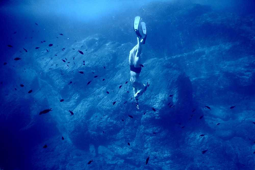 Free Dive art print by Artographie for $57.95 CAD