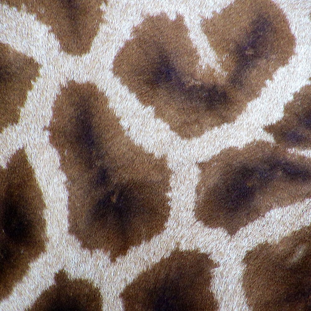 Giraffe Fur art print by Artographie for $57.95 CAD
