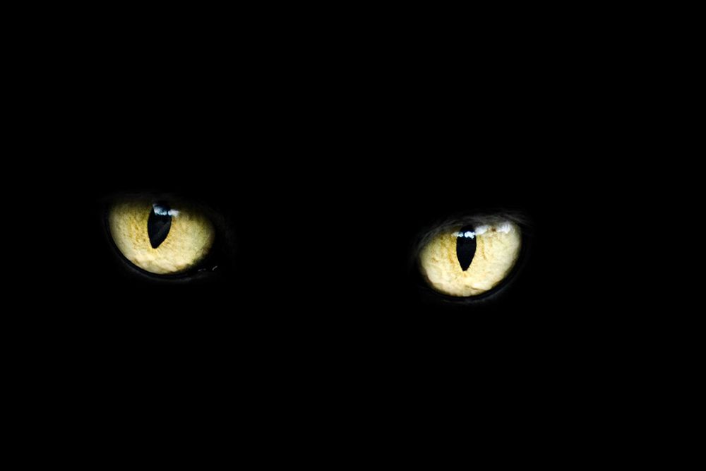 I See You art print by Artographie for $57.95 CAD