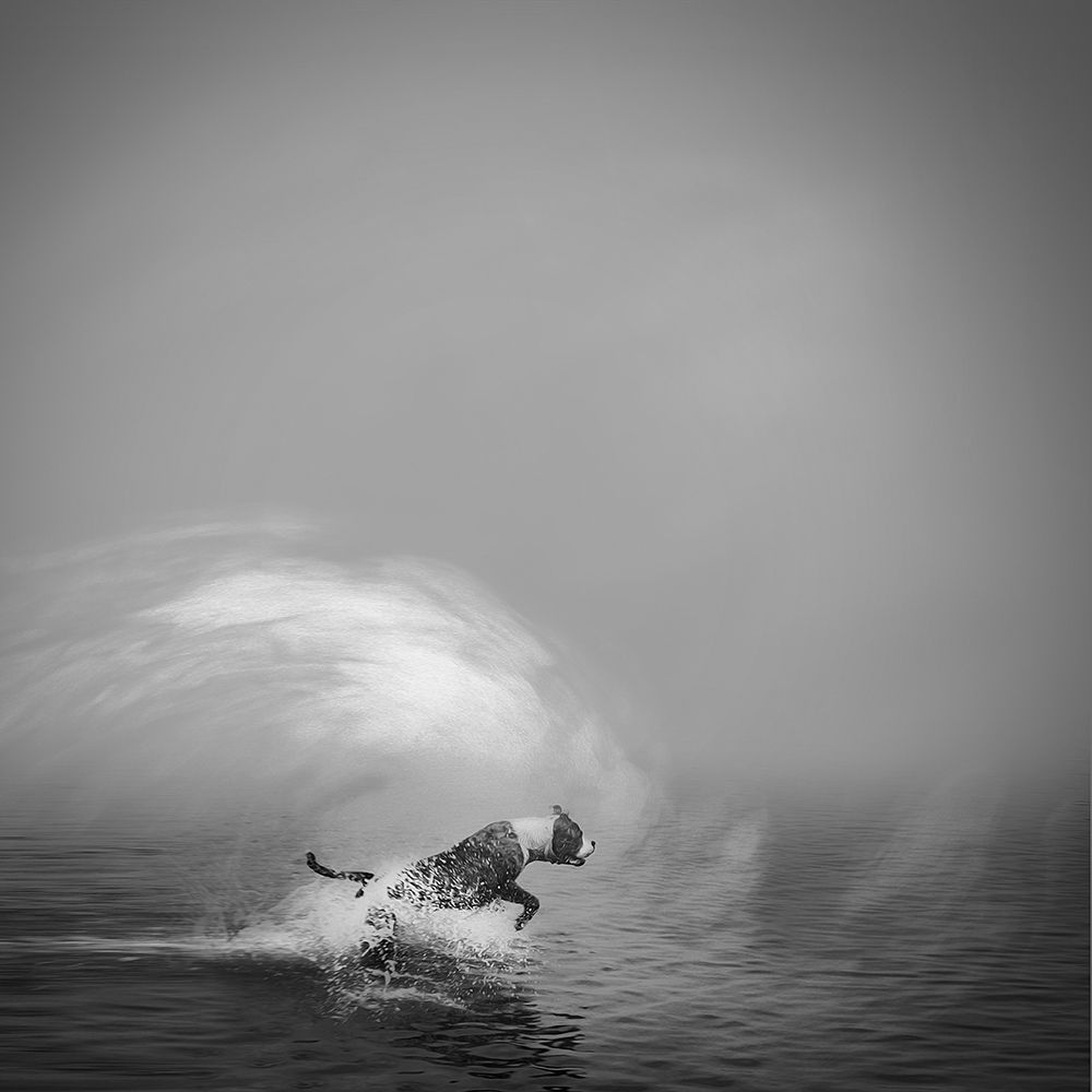 I will Get it art print by Artographie for $57.95 CAD