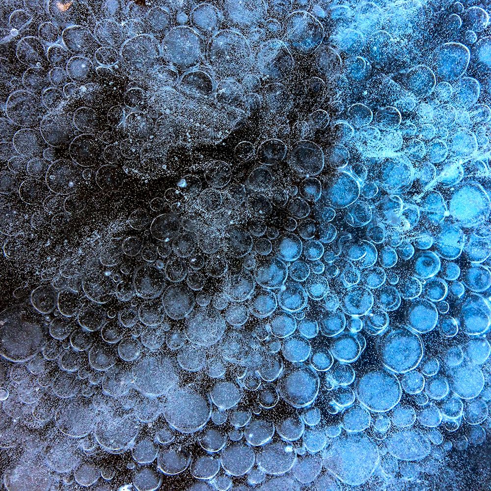Icy Blueberries art print by Artographie for $57.95 CAD